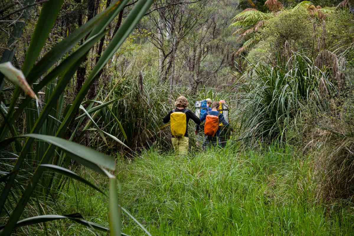 Wilderness canyoning New Zealand