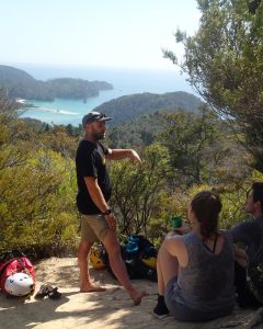 Learn about the native flora and fauna in Abel Tasman National Park